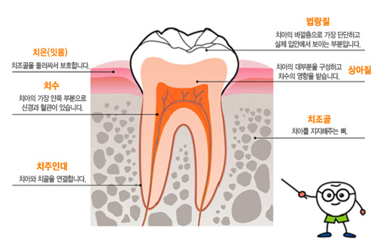이미지명